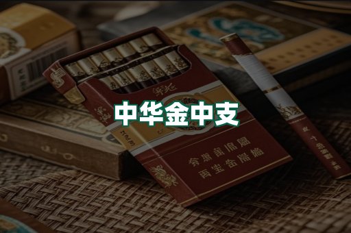中华金中支